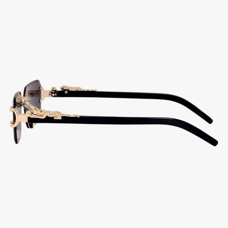 Cartire Sunglasses